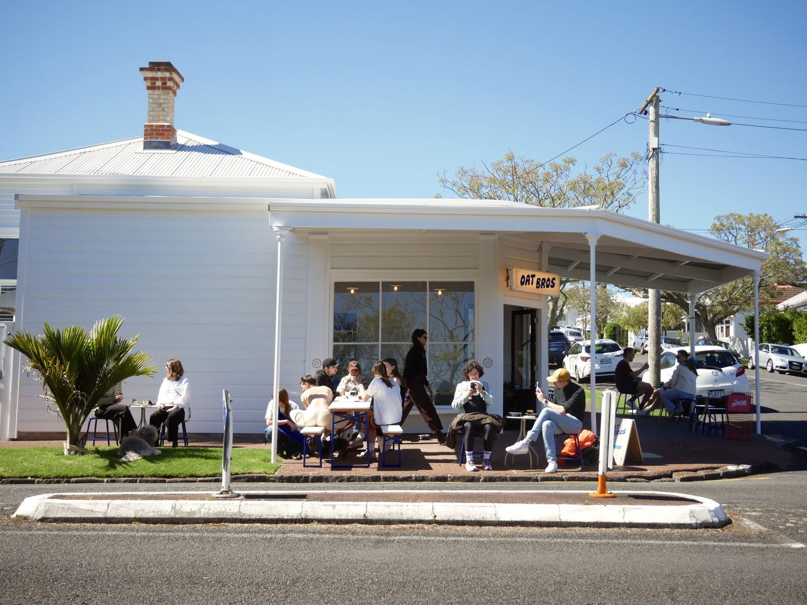 Oat Bros, Grey Lynn